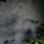 Profile picture of Buxx